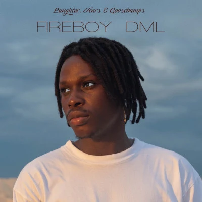 Laughter, Tears Goosebumps 专辑 Fireboy DML/WSTRN