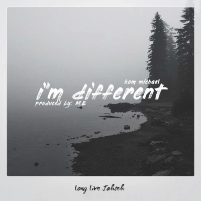 i&#x27;m different 专辑 Kam Michael