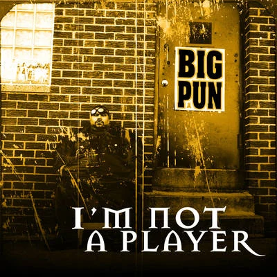 Im Not a Player EP 專輯 Big Pun/RedOne/Enrique Iglesias/Puff Daddy/Pitbull