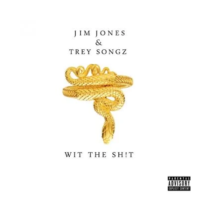 Wit The Ish (feat. Trey Songz) - Single 專輯 Jim Jones