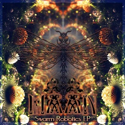 Maan Swarm Robotics EP