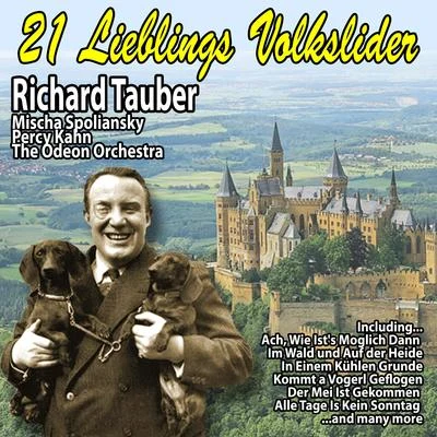 21 Lieblings Volkslider 專輯 Ernst Hauke/Richard Tauber/Frieder Weissmann