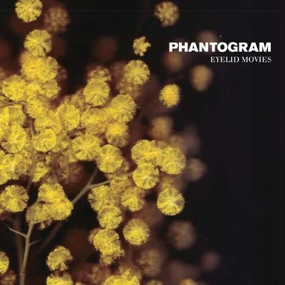 Eyelid Movies 專輯 Phantogram