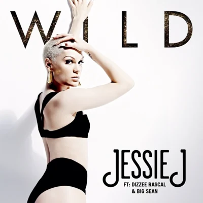 Wild 專輯 Jessie J/twocolors/Billy Porter