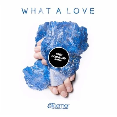 SteernerTobu What A Love (Steerner Bootleg)