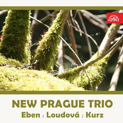 New Prague TrioVáclav NeumannDvořák Chamber Orchestra The New Prague Trio (Eben, Loudová, Kurz)