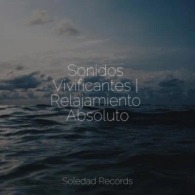 Sonidos Vivificantes | Relajamiento Absoluto 專輯 White Noise Ambience/Música Zen Relaxante