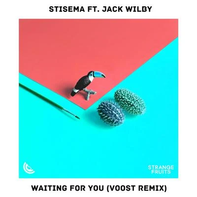 Waiting for You [Voost Remix] 專輯 Stisema/Sander Nijbroek