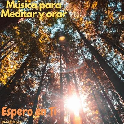 Música para Meditar y Orar: Espero en Tí 專輯 Omar Diaz/Lauren Mayhew/Hidden Tigress/Andrea Ribeca/Bigtopo