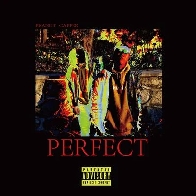 Perfect 專輯 Capper/Tizzy T (谢锐韬)/GALI/劉炫廷