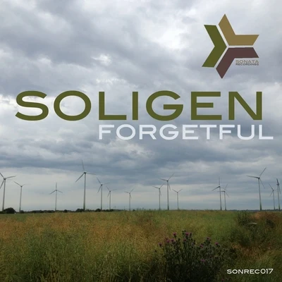 ForgetfulLong Way 专辑 Soligen