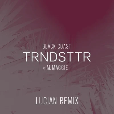 TRNDSTTR (Lucian Remix) 專輯 Lucian