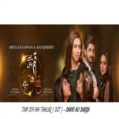 Tum Se Hi Taluq Hai - Ost 专辑 Waqar Ali/Sahir Ali Bagga/Quintino & Blasterjaxx/Shani Arshad/Shiraz Uppal