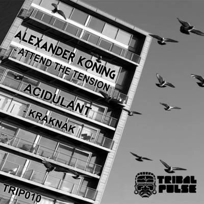 Alexander Koning TRIP010