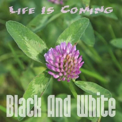 Life Is Coming 專輯 Black and White