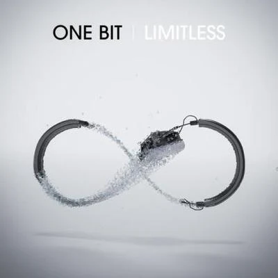 One BitShelter Point Limitless