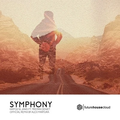 Symphony (Alex Martura Remix) 专辑 Alex Martura