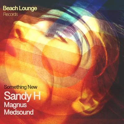 Something New 專輯 Sandy H/U.R.A.