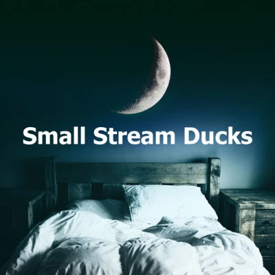 Small Stream Ducks 專輯 Anti Stress/Meditation & Focus Workshop/Static Sounds