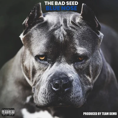 The Bad SeedMikey DNapsNdredsHoney DineroStuck B Blue Nose