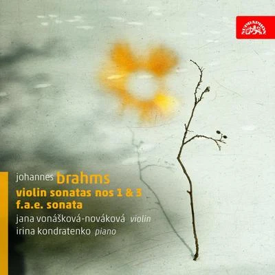 Brahms: Violin Sonatas 專輯 Irina Kondratenko/Ludmila Peterkova