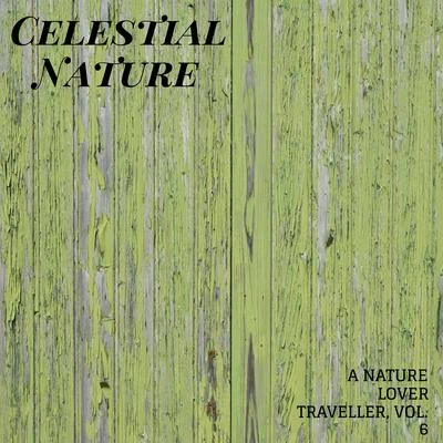 Celestial Nature - A Nature Lover Traveller, Vol. 6 專輯 Rain Sounds For Sleep/Zarobi/Natural Rain Sounds for Sleeping