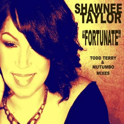 Fortunate - Todd Terry and Mutumbo Mixes 專輯 Shawnee Taylor/Our Anthem