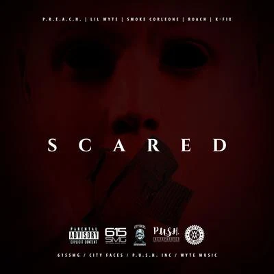 Scared 專輯 Lil Wyte/Dat Dozier