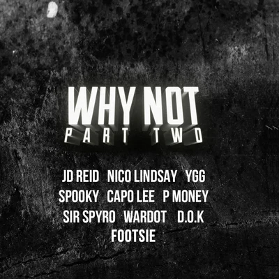 Why Not, Pt. 2 專輯 Capo Lee