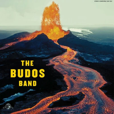 The Budos Band 專輯 Charles Bradley/The Budos Band/Quintino & Blasterjaxx/Sharon Jones & the Dap-Kings/Poets of Rhythm