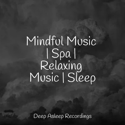 Mindful Music | Spa | Relaxing Music | Sleep 專輯 Easy Sleep Music