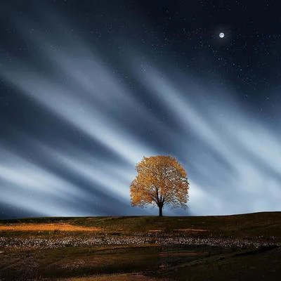 Meditacion Budista MaestrosMusica relajante con sonidos de la naturalezaCanciones de Cuna 101 50 Canciones Maravillosas Para Dormir y Relajarse