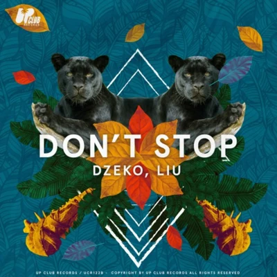 Dont Stop 專輯 Dzeko/DJ D-Sol