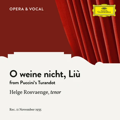 Puccini: Turandot: O weine nicht, Liù (Sung in German) 专辑 Helge Rosvaenge/Bert Brecht/The Orchestra of the Vienna Folk Opera/The Choir of the Vienna Folk Opera/Alfred Jerger