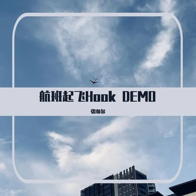 張珈爾96. 航班起飛Hook demo