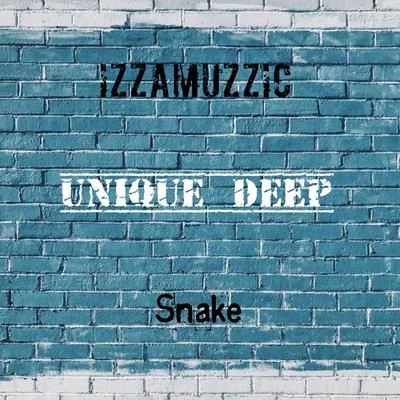 Snake (Radio Edit) 專輯 Mr Deep/Izzamuzzic