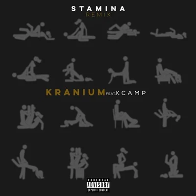 Stamina (Remix) 專輯 Kranium