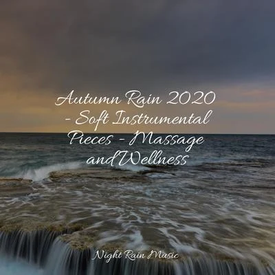 Forest Hills Music UniverseNature AmbienceRest & Relax Nature Sounds Artists Autumn Rain 2020 - Soft Instrumental Pieces - Massage and Wellness