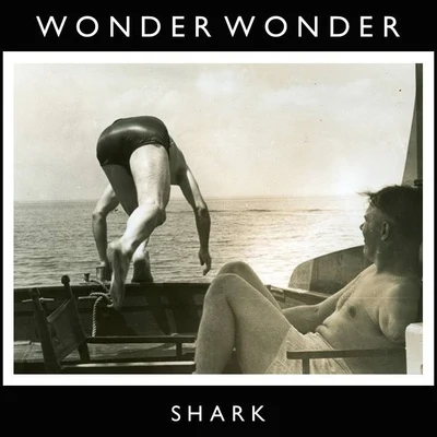 Oh Wonder Shark