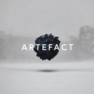 Artefact-EP 专辑 Braids/Max Cooper