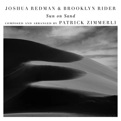 Sun on Sand (with Scott Colley & Satoshi Takeishi) 專輯 Eirik Hegdal/Trondheim Jazz Orchestra/Joshua Redman