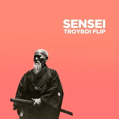 TroyBoi Sensei (TroyBoi Flip)