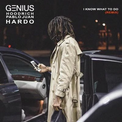 I Know What To Do (Remix) 專輯 Genius