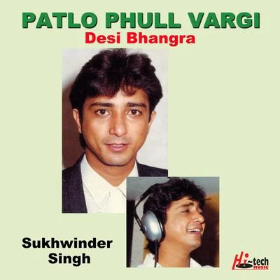 Patlo Phull Vargi 專輯 Sukhwinder Singh/Harlove Singh