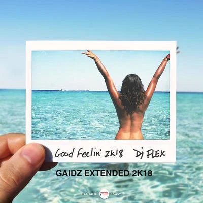 Good Feelin&#x27; (Gaidz Extended 2k18) 专辑 DWP Academy/Mr Shawtyme/Yoofi Greene/DJ Flex