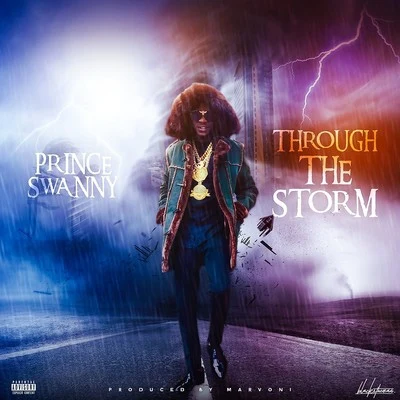 Through The Storm 專輯 Donpert/Prince Swanny