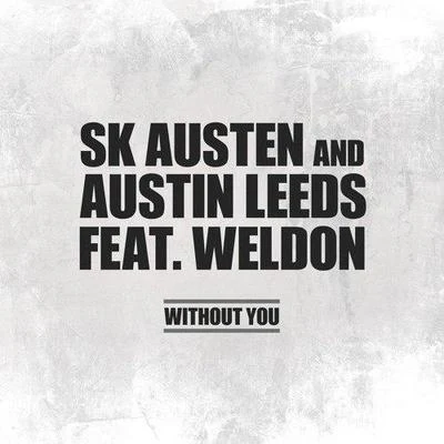 Austin LeedsPaul van Dyk Without You