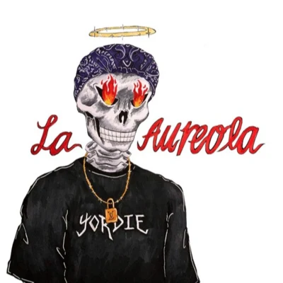 $NOT La Aureola