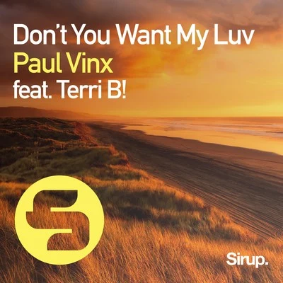 Don&#x27;t You Want My Luv 专辑 Paul Vinx