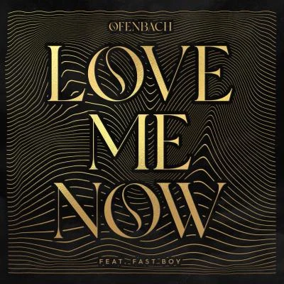 Love Me Now (feat. FAST BOY) 专辑 Ofenbach/Benjamin Ingrosso